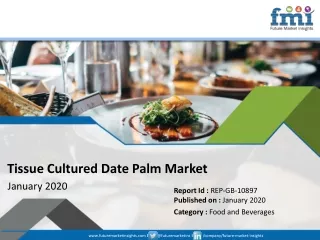 tissue cultured date palm market