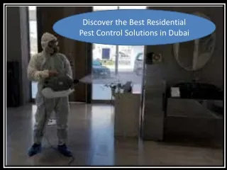 Discover the Best Residential Pest Control Solutions in Dubai