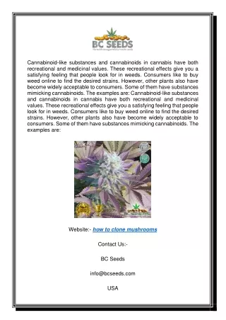 cannabinoid like substances and cannabinoids