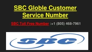 s bc globle customer service number