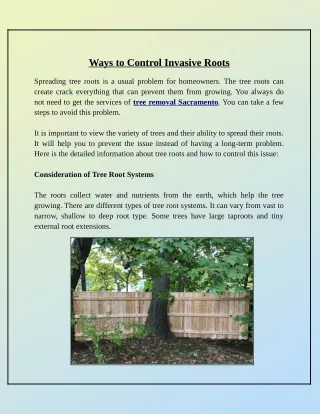 ways to control invasive roots