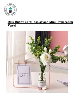 Desk Buddy Card Display and Mini Propagation Vessel