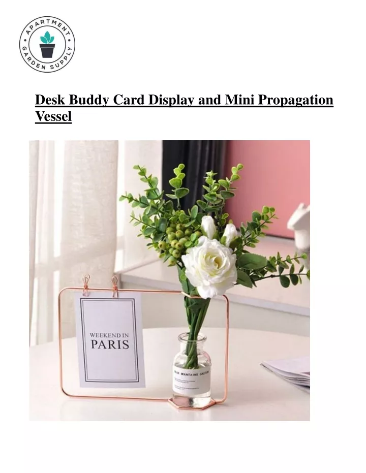 desk buddy card display and mini propagation