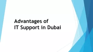 advantages of it support in dubai