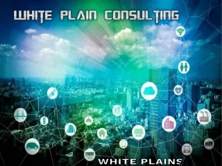 White Plain Consulting