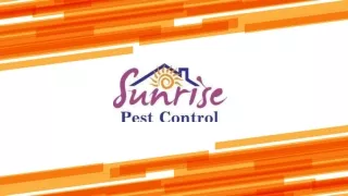 Sunrise Pest Control Tarneit Melbourne