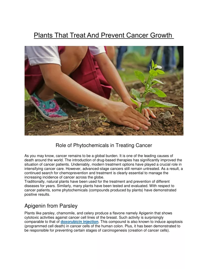 plants that treat and prevent cancer growth