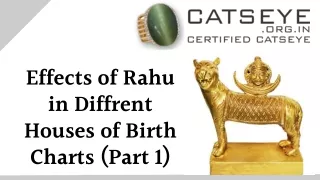 effects of rahu in diffrent houses of birth