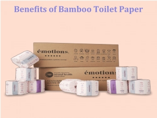 Benefits of Bamboo Toilet Paper