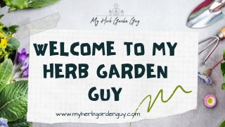 Welcome to My Herb Garden Guy