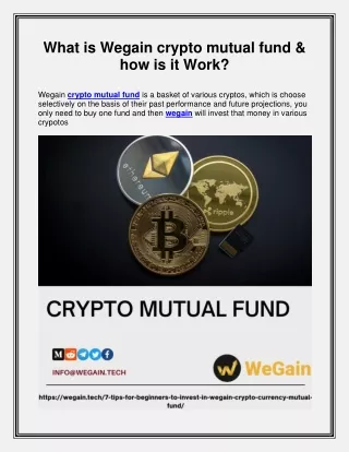 What is Wegain crypto mutual fund & how is it Work
