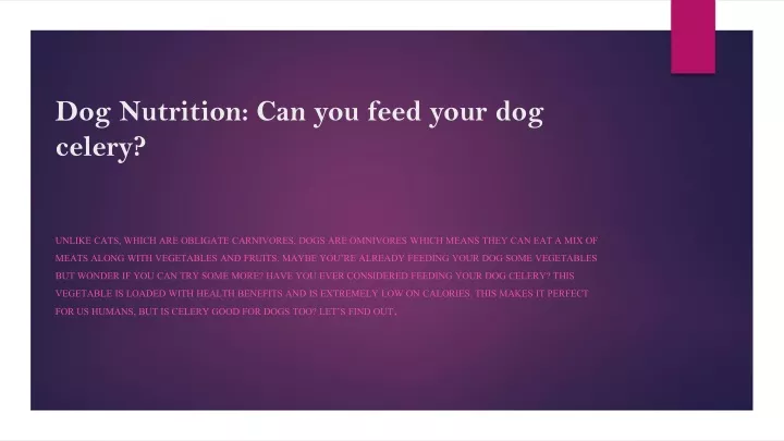 dog nutrition can you feed your dog celery