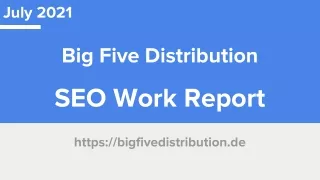 Technical SEO Work Report of BigFiveDistribution