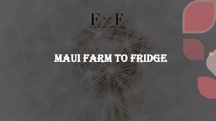 maui farm to fridge maui farm to fridge