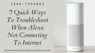 Alexa Not Connecting to Internet Fix 1-8007956963 Alexa App Helpline