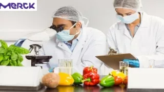 Food & Beverage Testing & Manufacturing