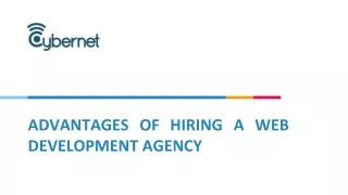 advantages of hiring a web development agency