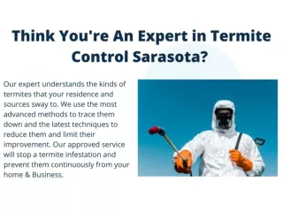 Think You're An Expert in Termite Control Sarasota?