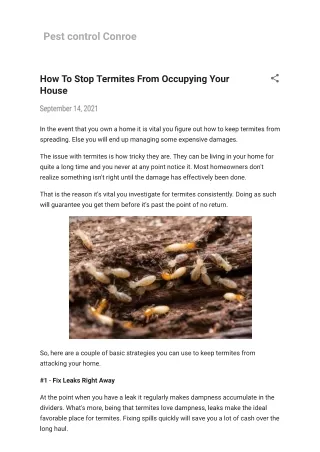termite treatment Conroe
