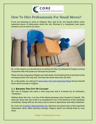 How to hire professionals for small moves