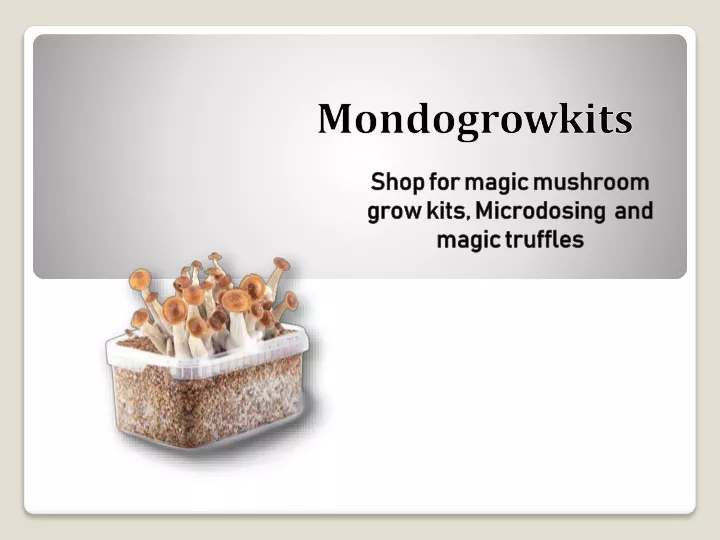 mondogrowkits