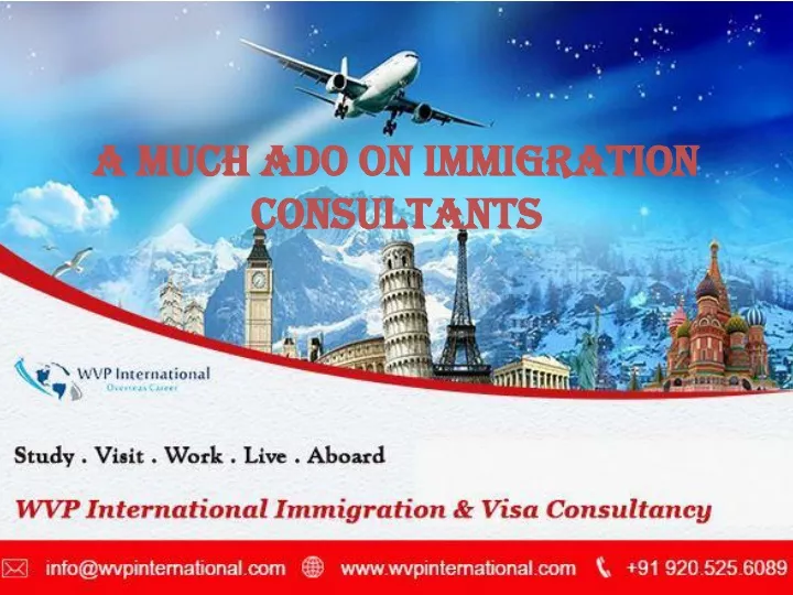 a much ado on immigration consultants