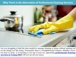 Why There Is No Alternative of Professional Cleaning Services