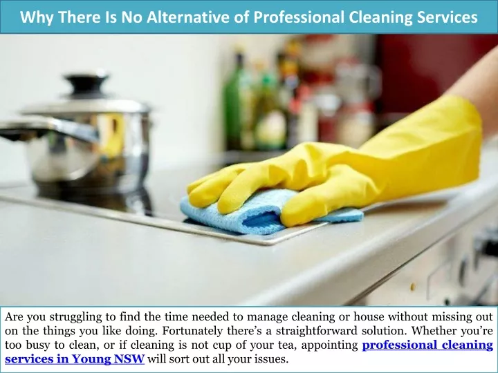 why there is no alternative of professional cleaning services