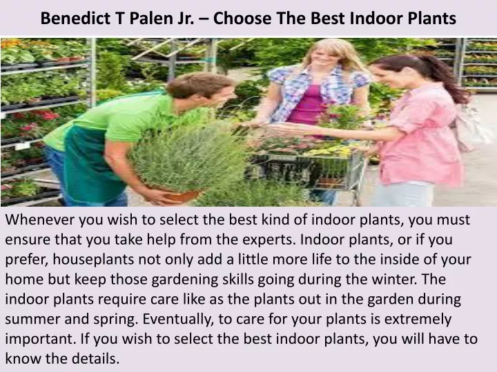 benedict t palen jr choose the best indoor plants