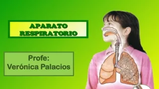 profe ver nica palacios