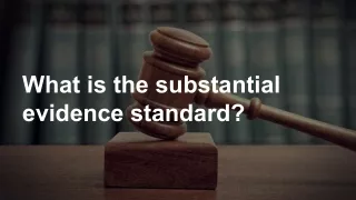 What is the substantial evidence standard?