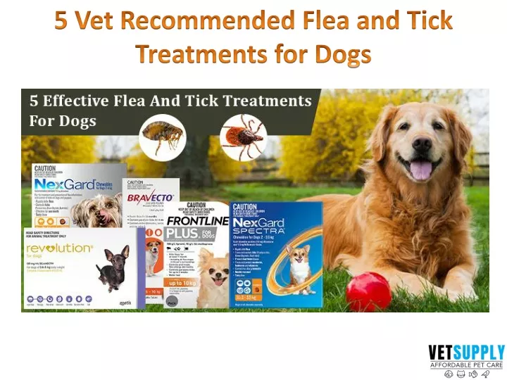 5 vet recommended flea and tick treatments