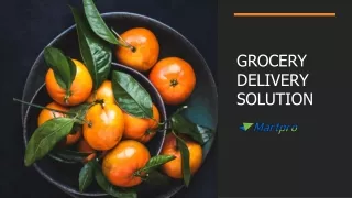 grocery delivery solution