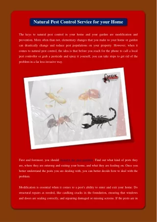 natural pest control service for your home