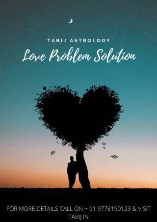 Get Love Problem Solution by best love problem solution astrologer
