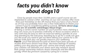 facts you didn t know about dogs10