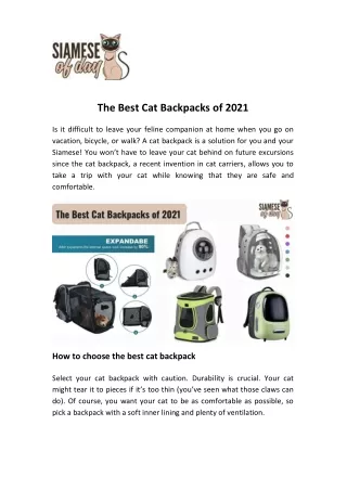 The Best Cat Backpacks of 2021