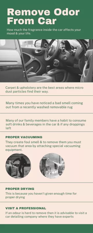 remove odor from car
