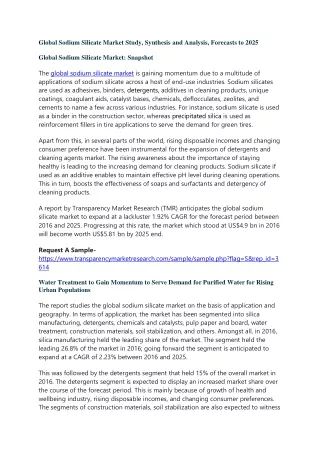 global sodium silicate market study synthesis