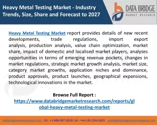 heavy metal testing market industry trends size