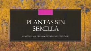 PLANTAS SIN SEMILLA