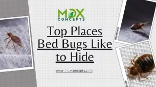 Top Places Bed Bugs Like to Hide