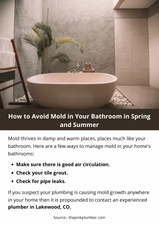 How to Avoid Mold in Your Bathroom in Spring and Summer