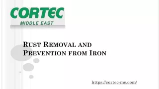 r ust r emoval and p revention from i ron