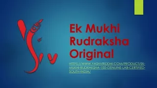 ek mukhi rudraksha original