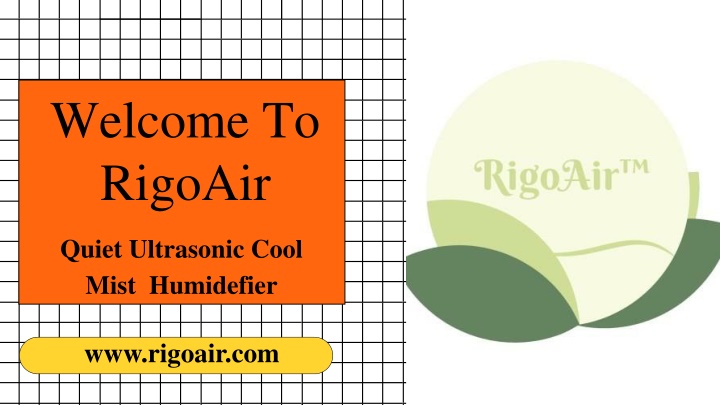 welcome to rigoair