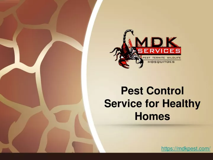 pest control service for healthy homes