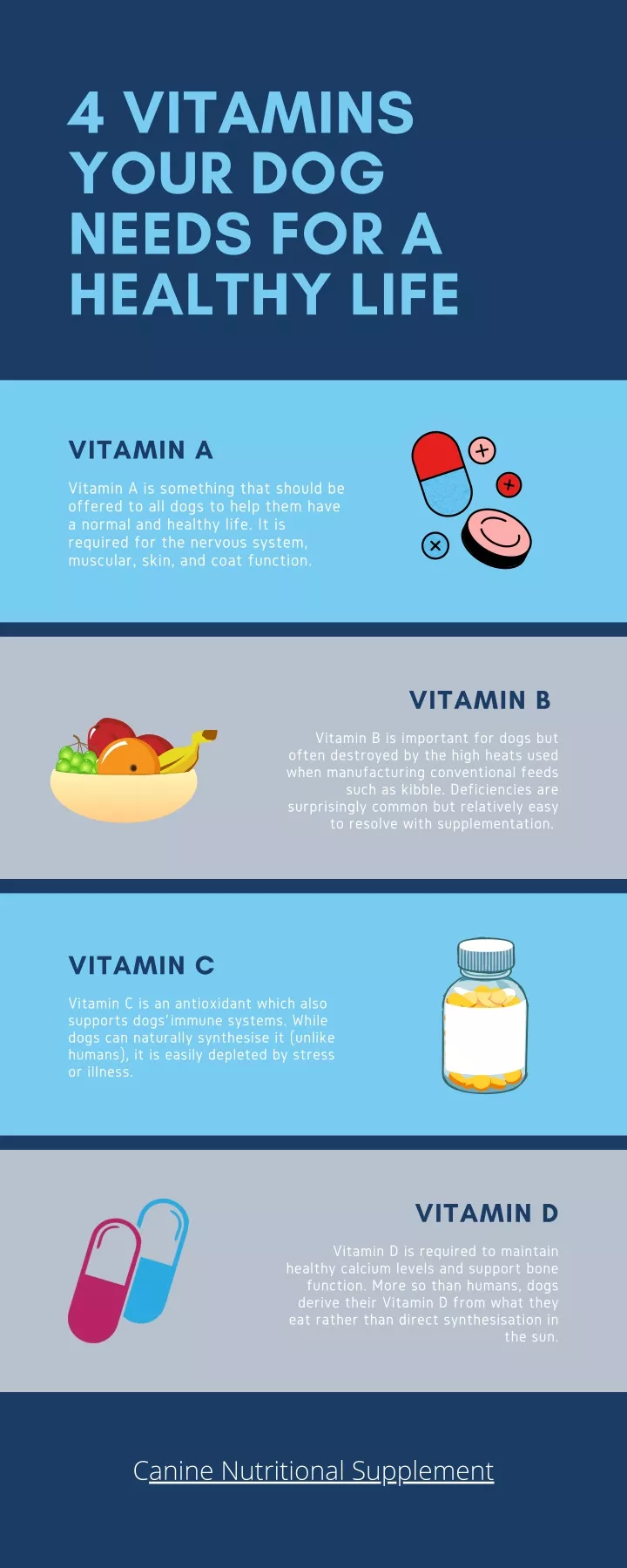 4 vitamins your dog needs for a healthy life