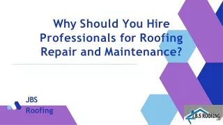 Why Should You Hire Professionals for Roofing Repair and Maintenance