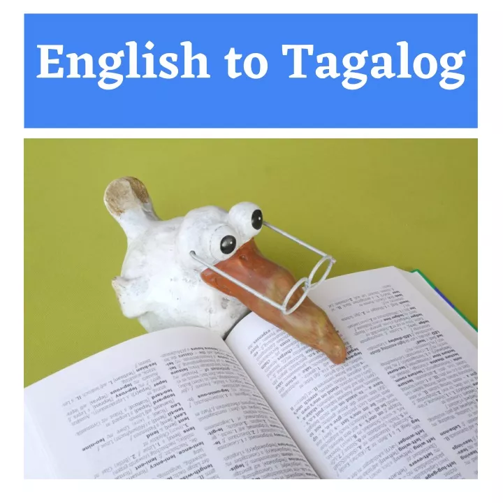 assignment in tagalog to english